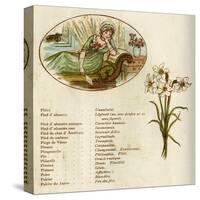 The Language and Meaning of Flowers-Kate Greenaway-Stretched Canvas