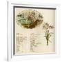 The Language and Meaning of Flowers-Kate Greenaway-Framed Art Print