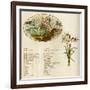 The Language and Meaning of Flowers-Kate Greenaway-Framed Art Print