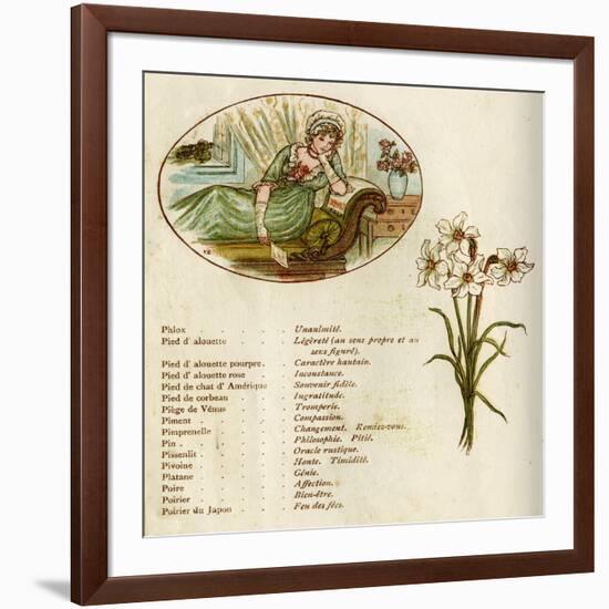 The Language and Meaning of Flowers-Kate Greenaway-Framed Art Print