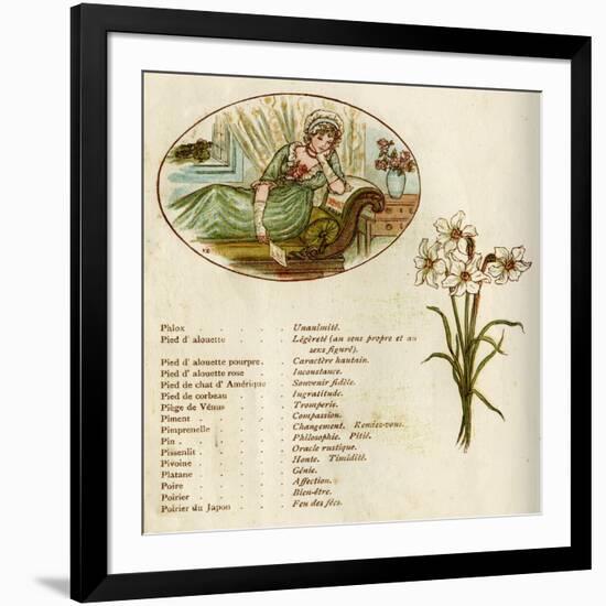 The Language and Meaning of Flowers-Kate Greenaway-Framed Art Print