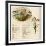 The Language and Meaning of Flowers-Kate Greenaway-Framed Art Print