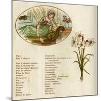 The Language and Meaning of Flowers-Kate Greenaway-Mounted Art Print