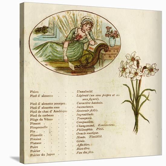 The Language and Meaning of Flowers-Kate Greenaway-Stretched Canvas