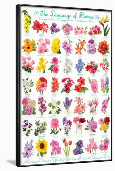 The Language Of Flowers-null-Framed Poster