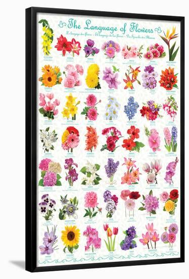 The Language Of Flowers-null-Framed Poster