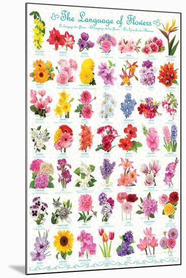 The Language Of Flowers-null-Mounted Poster