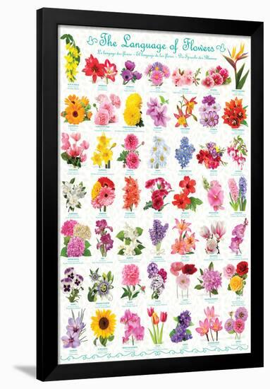 The Language Of Flowers-null-Framed Poster