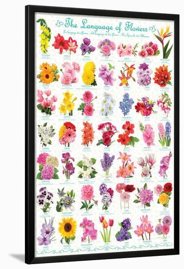 The Language Of Flowers-null-Lamina Framed Poster