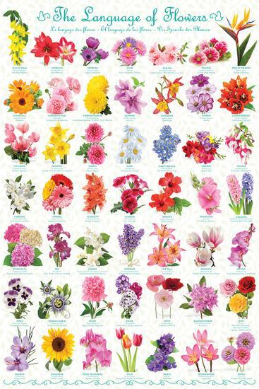 Poster, , large