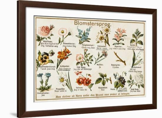 The Language of Love in Flowers, Norwegian Style-null-Framed Premium Giclee Print