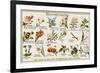 The Language of Love in Flowers, Norwegian Style-null-Framed Premium Giclee Print