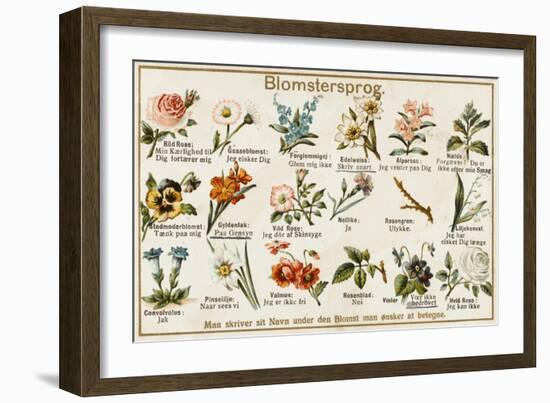 The Language of Love in Flowers, Norwegian Style-null-Framed Art Print