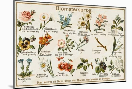 The Language of Love in Flowers, Norwegian Style-null-Mounted Art Print