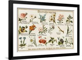 The Language of Love in Flowers, Norwegian Style-null-Framed Art Print