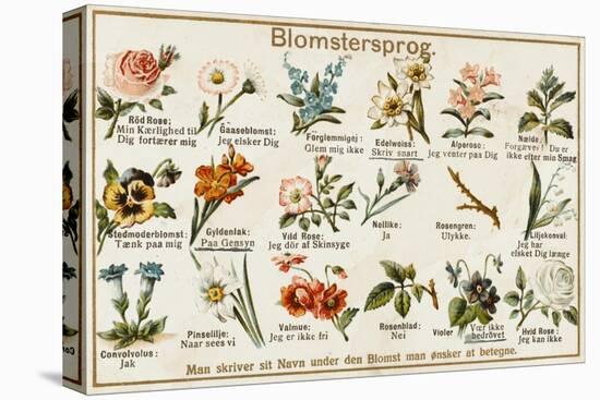 The Language of Love in Flowers, Norwegian Style-null-Stretched Canvas