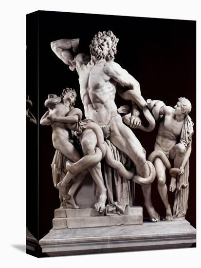 The Laocoon Group:-null-Stretched Canvas