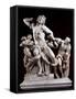 The Laocoon Group:-null-Framed Stretched Canvas