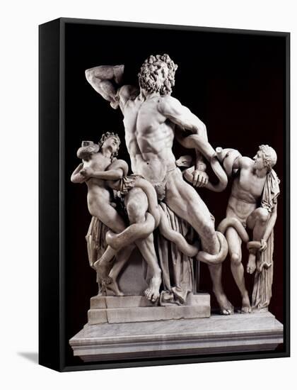 The Laocoon Group:-null-Framed Stretched Canvas