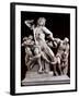 The Laocoon Group:-null-Framed Photographic Print