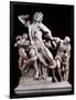 The Laocoon Group:-null-Framed Photographic Print