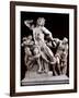 The Laocoon Group:-null-Framed Photographic Print