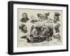 The Laplanders at the Royal Aquarium, Westminster-Richard Caton Woodville II-Framed Giclee Print