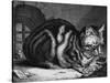 The Large Cat-Cornelis Visscher-Stretched Canvas