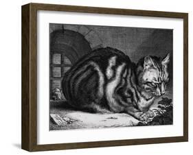 The Large Cat-Cornelis Visscher-Framed Art Print