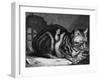 The Large Cat-Cornelis Visscher-Framed Art Print