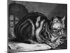The Large Cat-Cornelis Visscher-Mounted Art Print