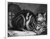 The Large Cat-Cornelis Visscher-Framed Art Print