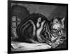 The Large Cat-Cornelis Visscher-Framed Art Print