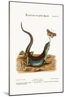 The Large Green and Spotted Lizard, 1749-73-George Edwards-Mounted Giclee Print