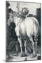 The Large Horse, 1505-Albrecht Dürer-Mounted Giclee Print