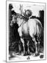 The Large Horse, 1509-Albrecht Dürer-Mounted Giclee Print