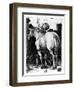 The Large Horse, 1509-Albrecht Dürer-Framed Giclee Print