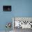 The Large Magellanic Cloud and Bright Star Canopus-null-Photographic Print displayed on a wall