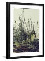 The Large Piece of Grass-Albrecht Drer-Framed Art Print