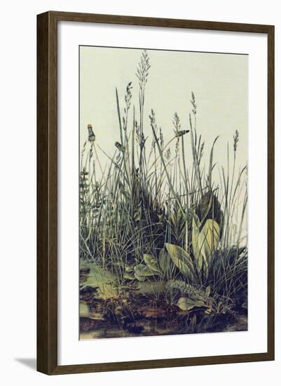 The Large Piece of Grass-Albrecht Drer-Framed Art Print