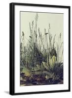 The Large Piece of Grass-Albrecht Drer-Framed Art Print