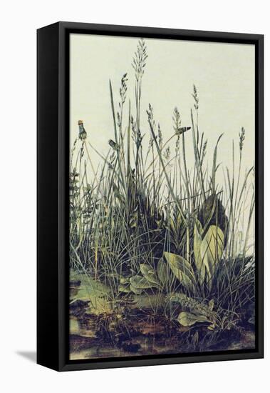 The Large Piece of Grass-Albrecht Drer-Framed Stretched Canvas