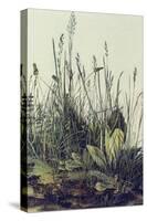 The Large Piece of Grass-Albrecht Drer-Stretched Canvas