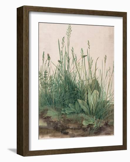 The Large Piece of Turf, 1503-Albrecht Dürer-Framed Giclee Print