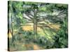 The Large Pine, 1895-97-Paul Cézanne-Stretched Canvas