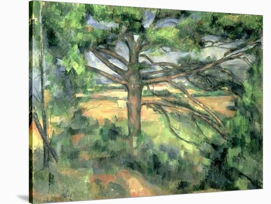 The Large Pine, 1895-97-Paul Cézanne-Stretched Canvas