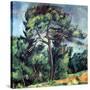 The Large Pine, circa 1889-Paul Cézanne-Stretched Canvas