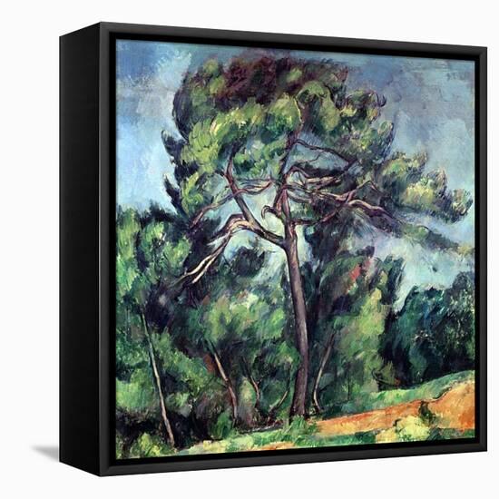 The Large Pine, circa 1889-Paul Cézanne-Framed Stretched Canvas