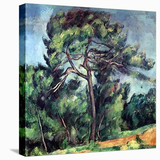 The Large Pine, circa 1889-Paul Cézanne-Stretched Canvas
