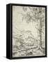 The Large Spruce, C.1520-Albrecht Altdorfer-Framed Stretched Canvas